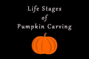 LIfe Stages of Pumpkin Carving